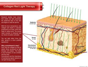 Illustration of collagen red light therapy